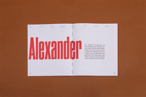 This Naked Incident HOAX