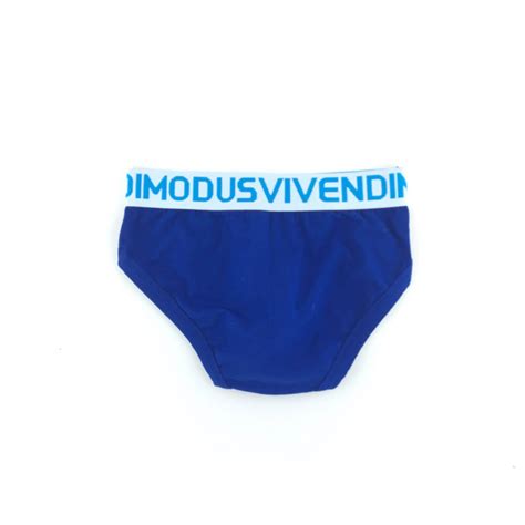 Modus Vivendi Weekly Brief Blue Next Gay Thing