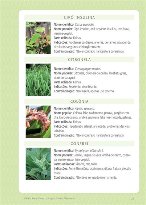 Cartilha Projeto Plantas Medicinais PDF