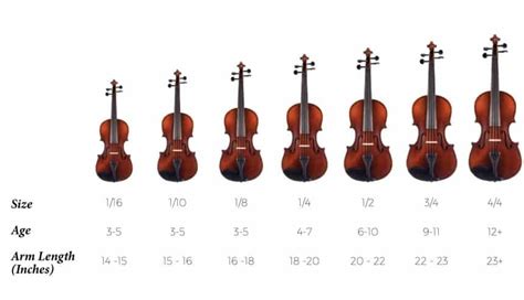 How To Learn The Violin Beginners Guide Upd 2024