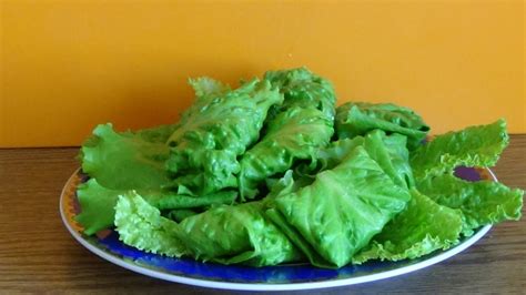 Листья салата с начинкой - YouTube