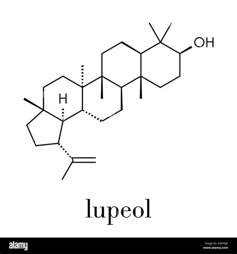 lupeol herbal triterpenoid molecule skeletal formula stock vector