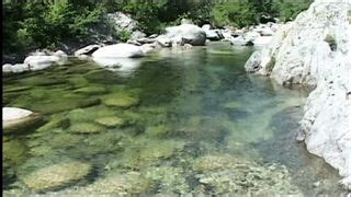 Corsica Porn Videos Free Sex Movies On Got Porn