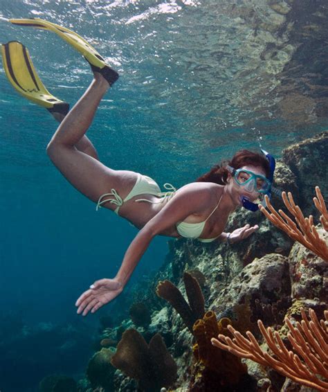 Snorkel Scuba And Free Diving Vol A Unwtr J Porn Pic