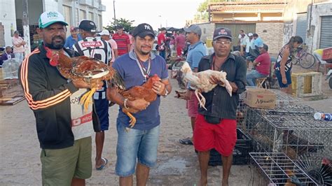 Vanio Mostrando As Novidades Da Feira De Galinhas Na Linha Do Trem Em