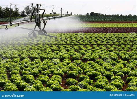 Irrigation Systemwater Gates Sluice Gate Stock Image Cartoondealer