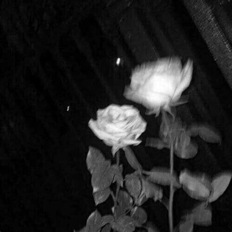 Fuck You Single By Exotic Spotify