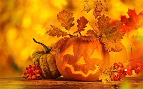 Autumn-Pumpkin, autumn, halloween, wooden table, still life, leaves ...