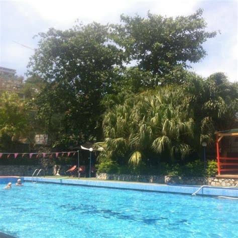 Aviat Club 3 Tips From 35 Visitors