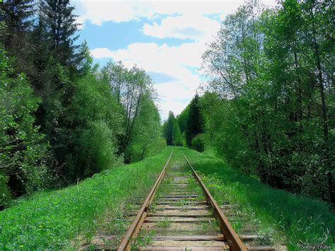 Заброшенные железные дороги: trasyy — LiveJournal