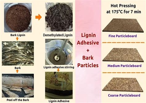 Jrm Free Full Text Properties Of Bark Particleboard Bonded With