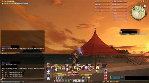 補助輪 ff14 設定 _ ff14補助輪導入方法 – PDXMIV