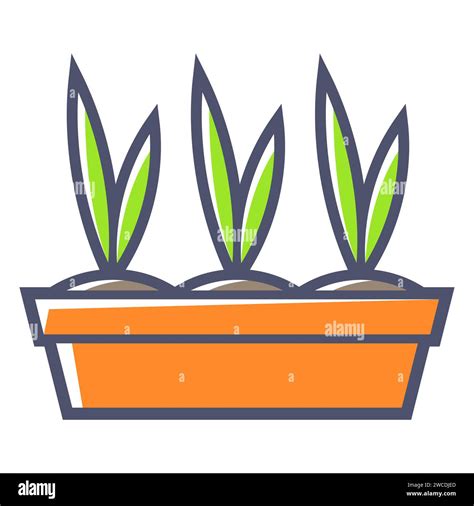 Seedling Grown Stock Vector Images Alamy