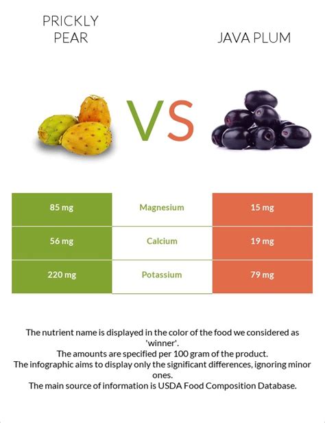 Prickly Pear Vs Java Plum — In Depth Nutrition Comparison