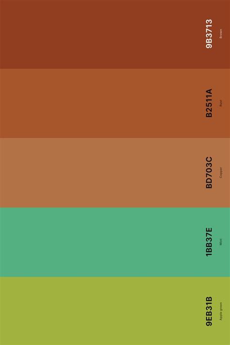 25+ Best Terracotta Color Palettes with Names and Hex Codes in 2024 ...