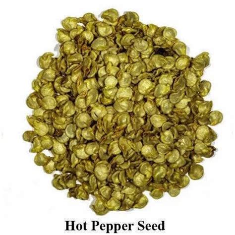 Hybrid Hot Pepper Seeds Packaging Type Packet Packaging Size 50g At Rs 500 Packet In Anantapur