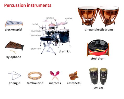 Drumstick Noun Definition Pictures Pronunciation And Usage Notes