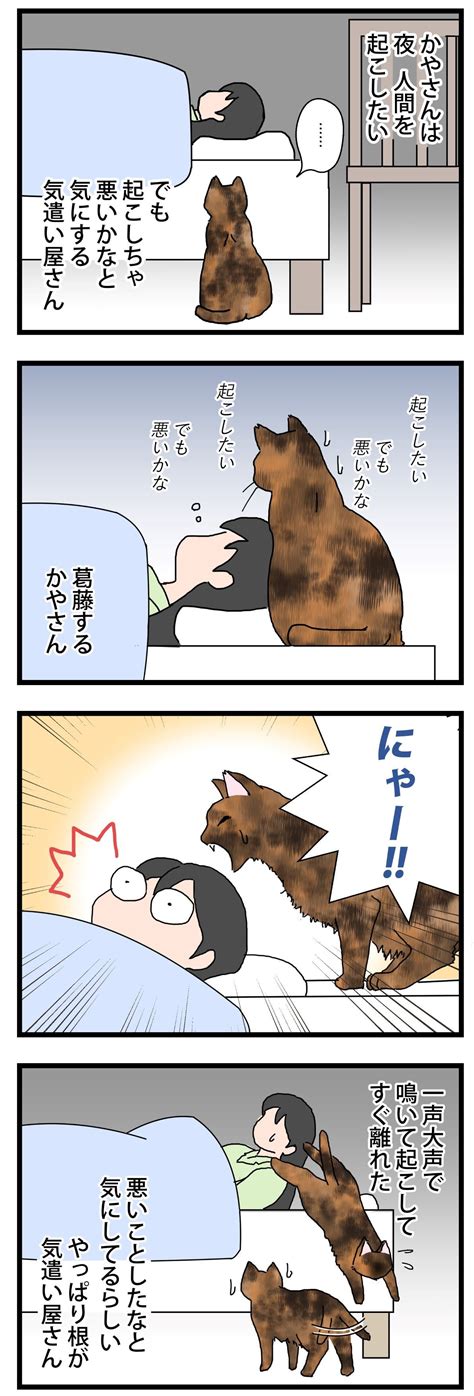 気遣いと催促の挟間 保護猫かやさん～凛々しいサビ猫様と私～