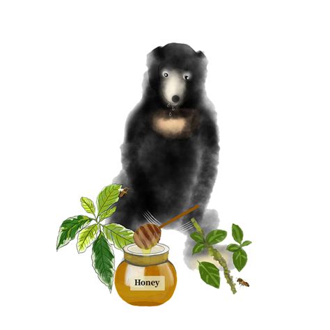 Bear Black Animal - Free image on Pixabay