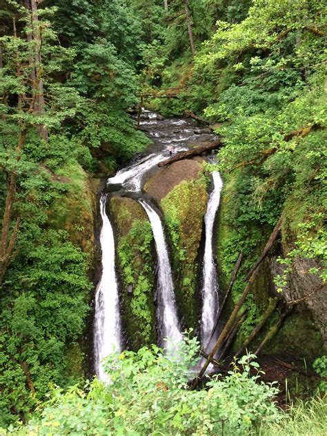 Columbia River Gorge Hikes Tour | Timberline Adventures