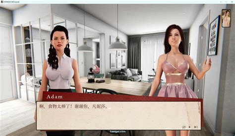 3DSLG STEPMOM Milf Scandal 官方中文版 天遊二次元