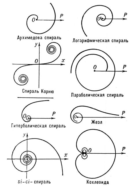 Виды спиралей Painted Letters, Painted Signs, Orthographic Drawing ...