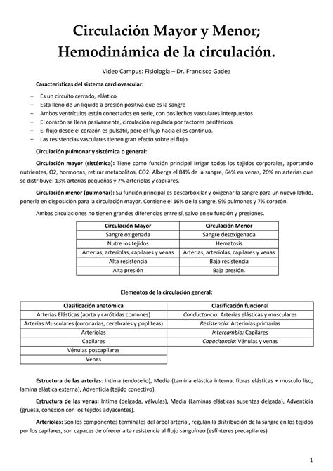 SOLUTION Circulaci N Mayor Y Menor Hemodinamica De La Circulacion