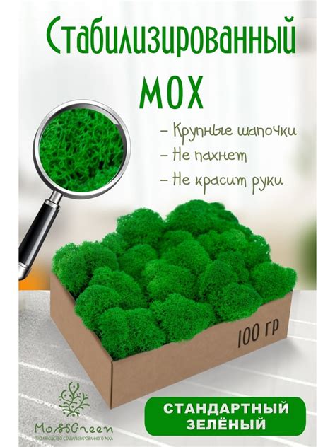 Стабилизированный мох Moss Green Мох, 100 гр купить по выгодной цене в ...