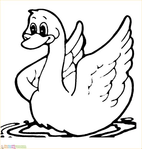 √22 Gambar Mewarnai Bebek Untuk Anak 2022