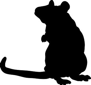 mouse  vector silhouettes  creazillacom