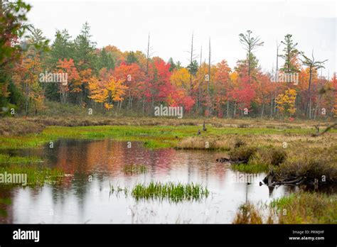 An Adirondack Mountain Ny Usa Pond With Colorful Fall Foliage In The