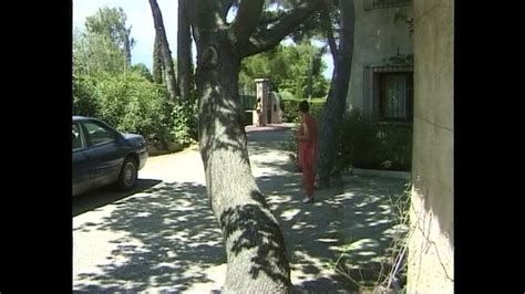 Dottor Zampa E Il Suo Cazzone Storia Free HD Porn XHamster