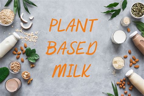 A Guide To Plant Based Milks Alternative Milks Plant Based Health Professionals Uk