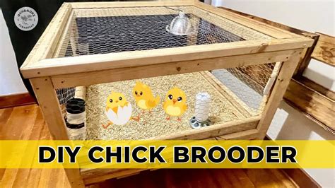 Diy Chicken Brooder Build Youtube