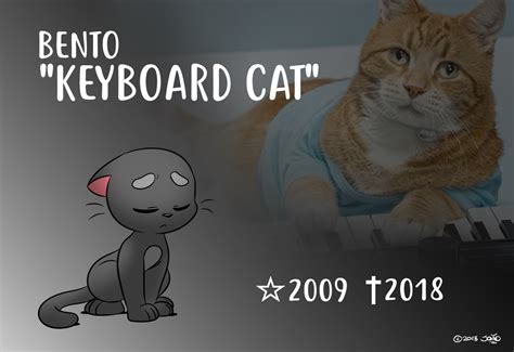 João Pereira's Arts & Other Stuff — Keyboard Cat, one of the most ...