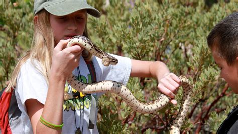 9/19-20: Arizona's Awesome Amphibians and Reptiles