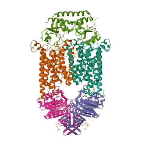 Rcsb Pdb Qi Abc Transporter Btucd In Complex With Its Periplasmic