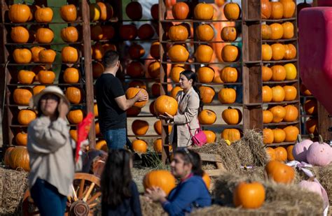 El Festival De La Tierra Y La Cosecha Llega A La Ciudad Mexicana De