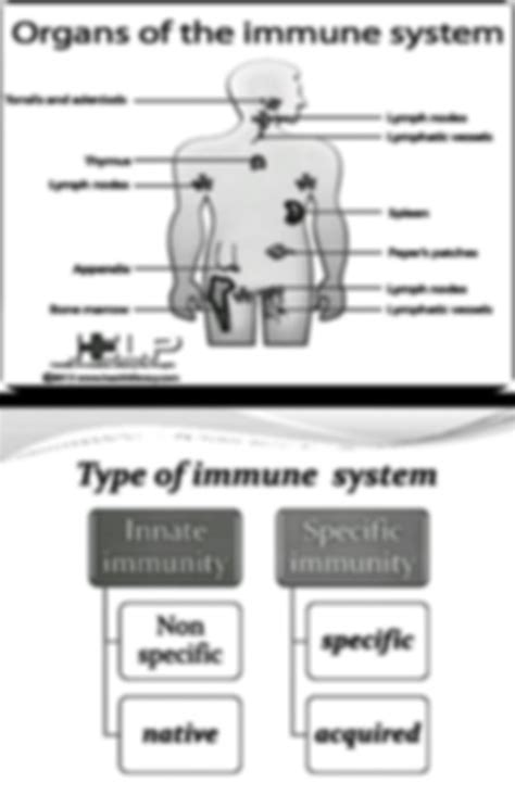 SOLUTION: have an autoimmune disease, your immune system attacks the