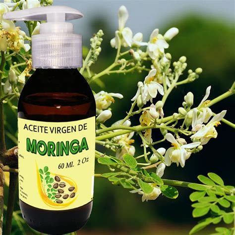 Aceite De Moringa Productos Naturales Ilumina