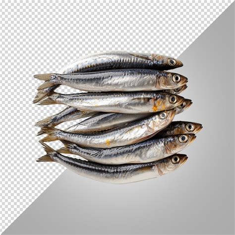 Premium Psd Mackerel Fish Illustration