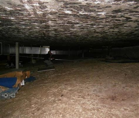 Austin Tx Mold Removal And Mold Remediation Servpro Of Hyde Park