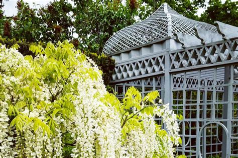 Snug Harbor New York Gardens Culture And More