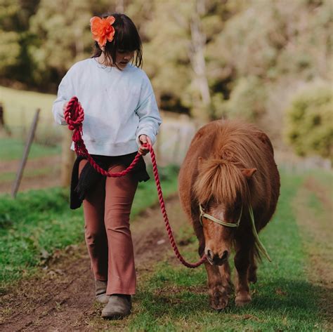 Psychology students are rethinking the alice miller theories today 18