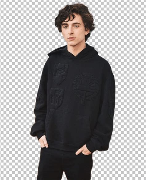 Timothee Chalamet PNG Image by Ongpng on DeviantArt