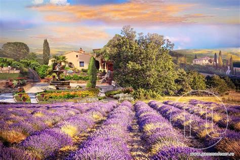 Прованс особенности (66 фото) - красивые картинки и HD фото