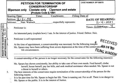 Britney Spears Wasnt Behind Petition To End Conservatorship New Docs Show