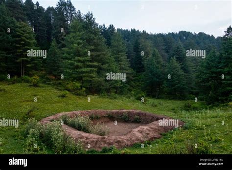 Water Tank In The Middle Of A Forest Dug Up By Forest Department For