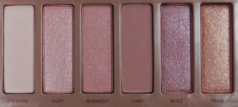 Urban Decay Naked 3 Review Themakeupnut