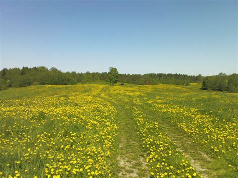 Коттеджный поселок «Зеленая Поляна» | Ленинградская область ...